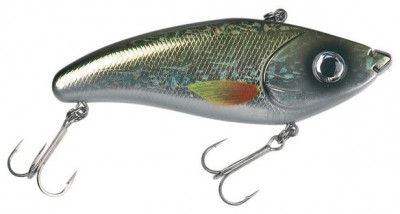 Screamin`Devil color Gold/Black